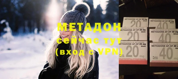 прущие грибы Аркадак
