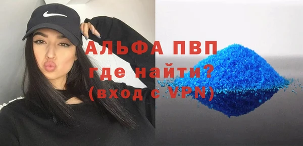 прущие грибы Аркадак