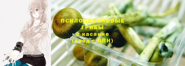 спиды Армянск