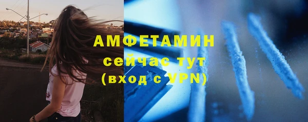 прущие грибы Аркадак