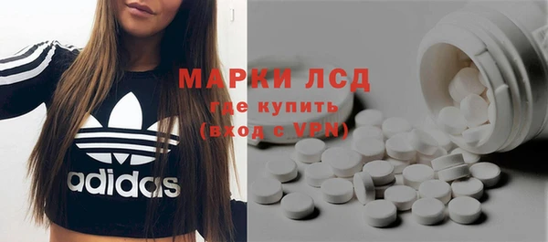 прущие грибы Аркадак