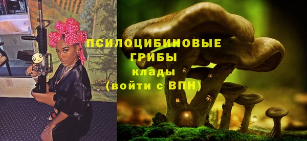 спиды Армянск