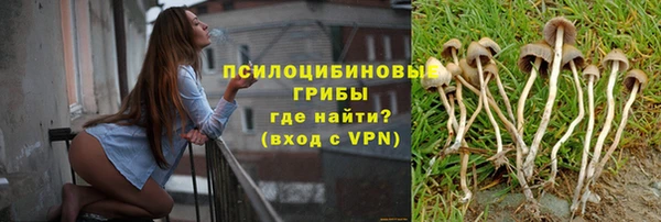 прущие грибы Аркадак