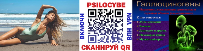 Купить закладки Междуреченск Галлюциногенные грибы Psilocybe